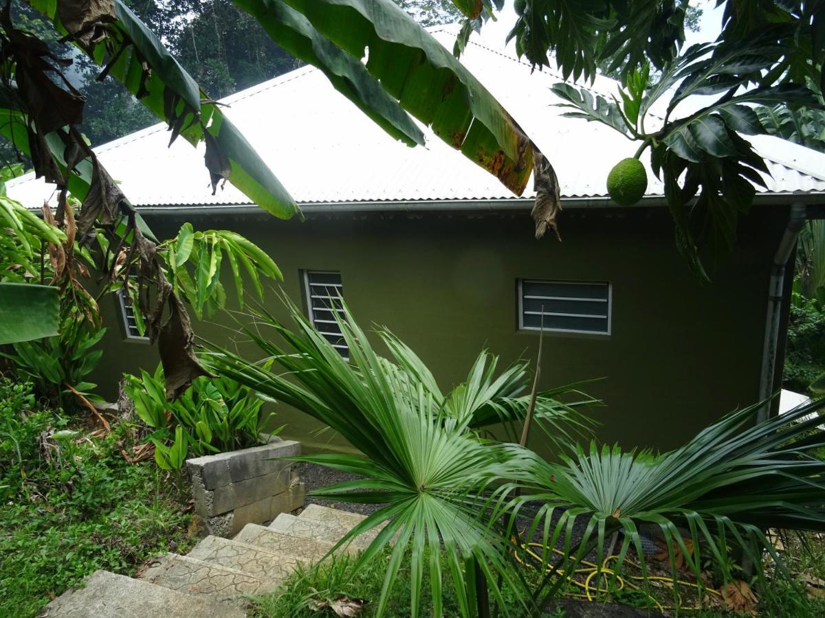 Bungalow Dourou Deshaies Eksteriør billede